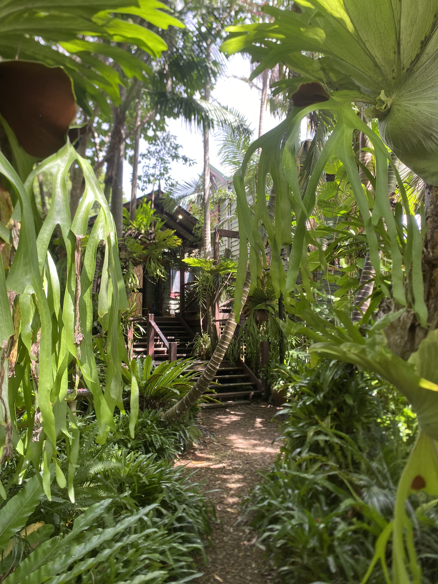 Woman meditating peacefully in a natural outdoor setting
